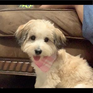 Meet your Posher, Jeff